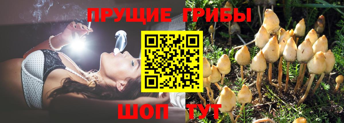 Галлюциногенные грибы ЛСД Кстово