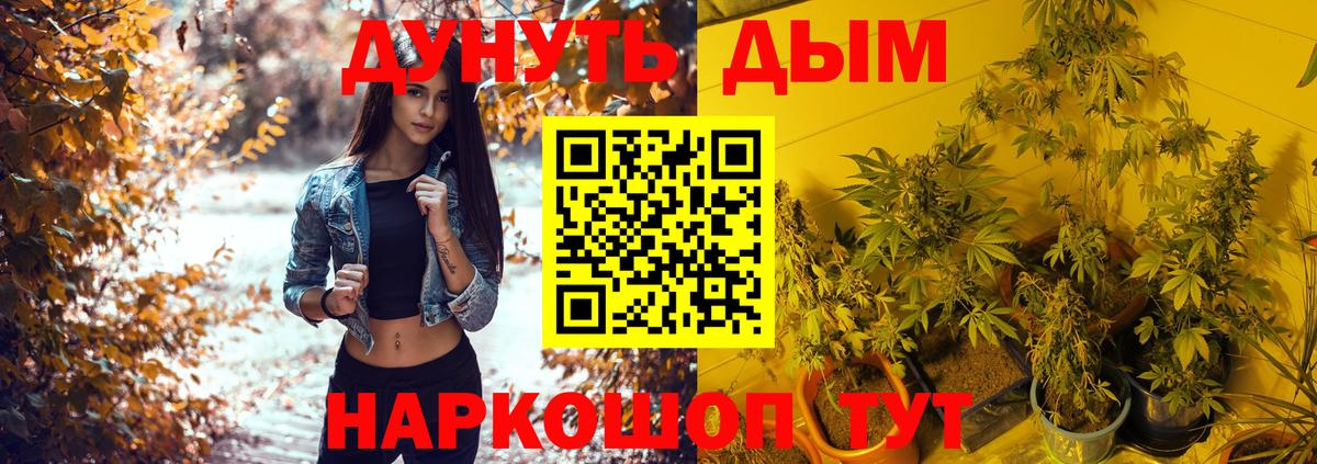 Каннабис Ganja Кстово
